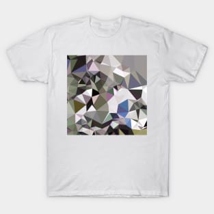 Davy Grey Abstract Low Polygon Background T-Shirt